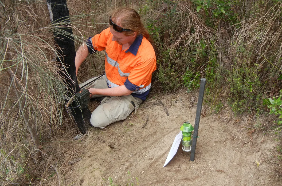 Fieldwork for a flora and fauna survey