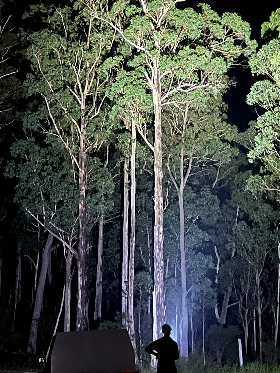 Spotlighting during a threatened species survey