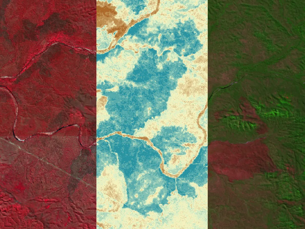 Mapped extent of burn scars